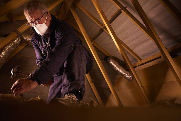 Best Insulation Installation Services in Wesleyville, PA
